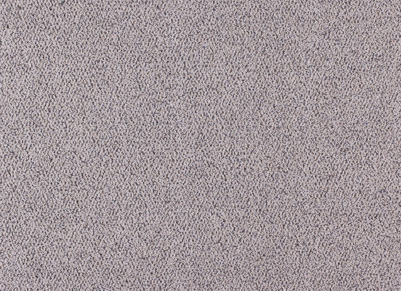 Orion in Nova Carpet