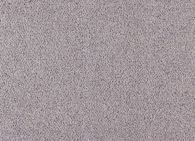 Orion in Nova Carpet