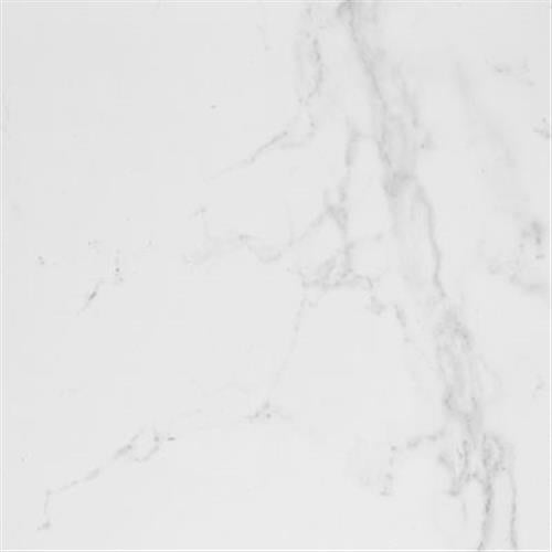 Carrara in Blanco Brillo 17x17