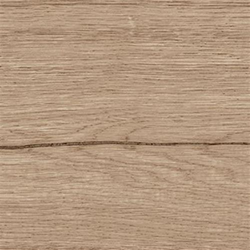 Delaware in Arce 12x72