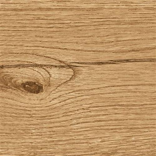 Delaware in Natural 12x72