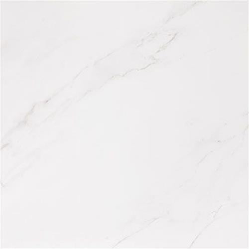 Thassos in Polished Tile