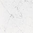 Bianco in Pulido Tile
