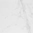 Carrara in Blanco Polished 23x47 Tile