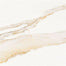 Calacata in Gold Polished Tile