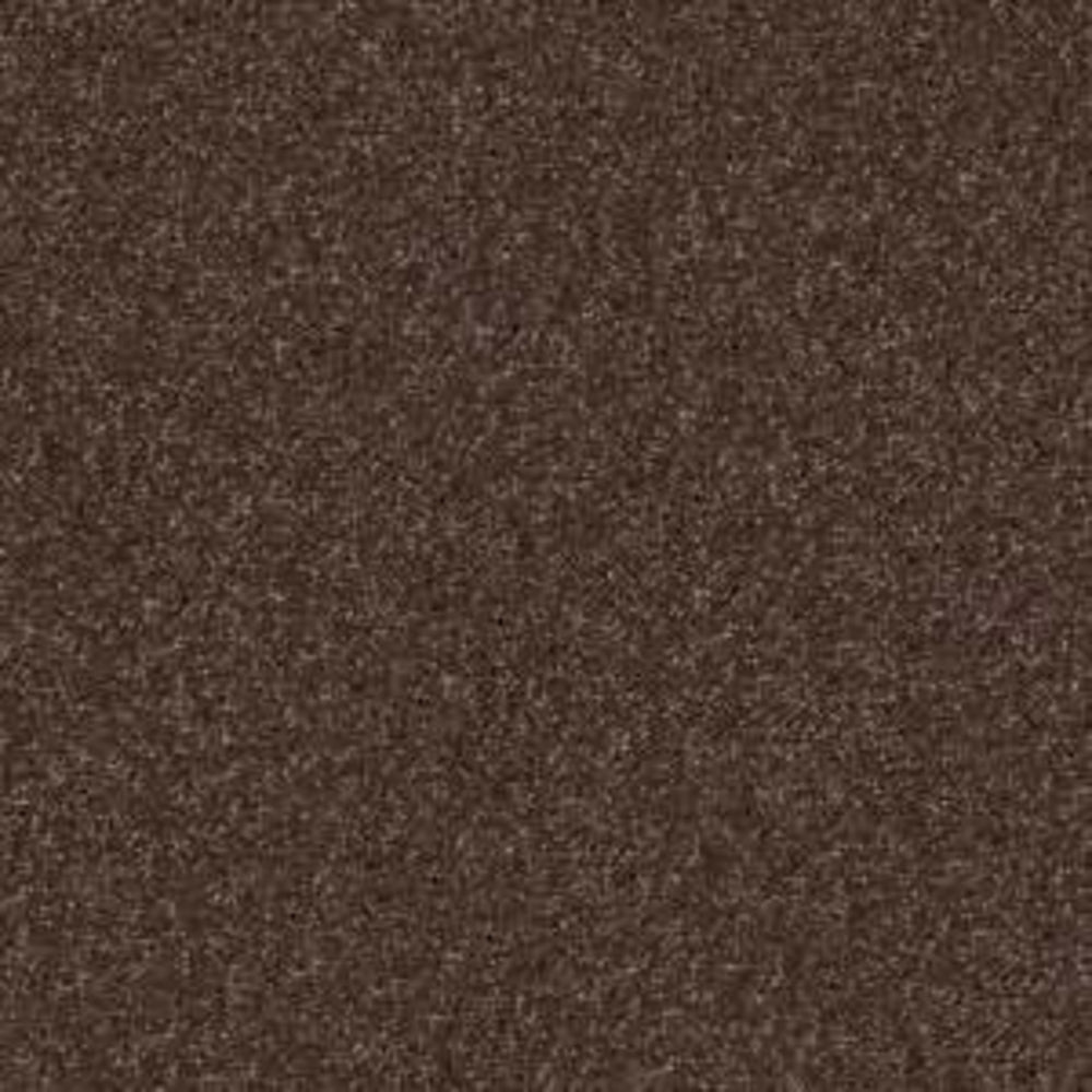 BEACH HOUSE II (S) in Maple Carpet