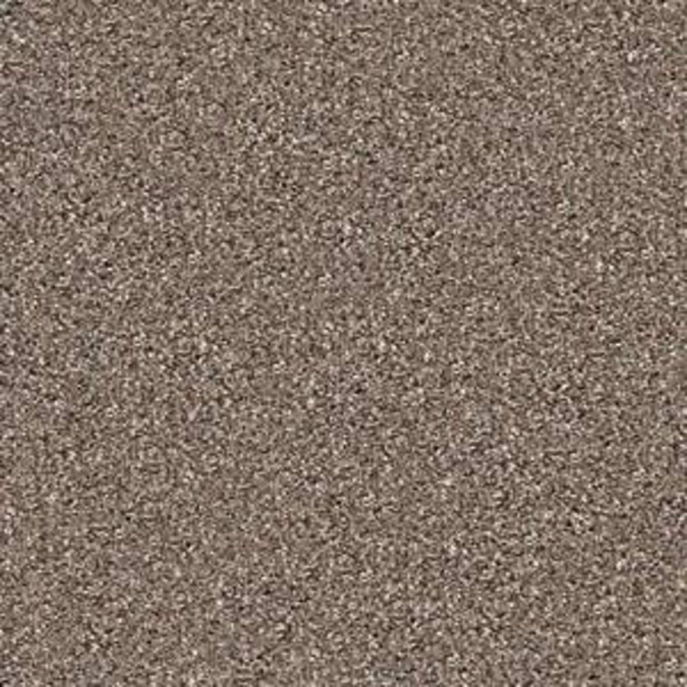 BEACH HOUSE II (T) in Saddle Carpet