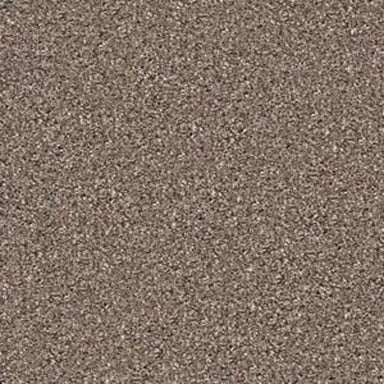 BEACH HOUSE II (T) in Saddle Carpet