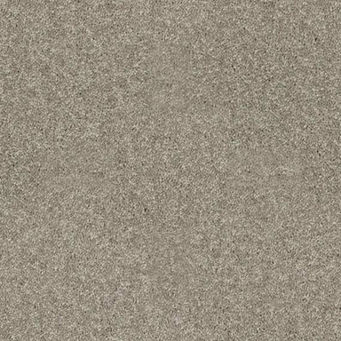 ARDEN BLUFF in Suede Carpet