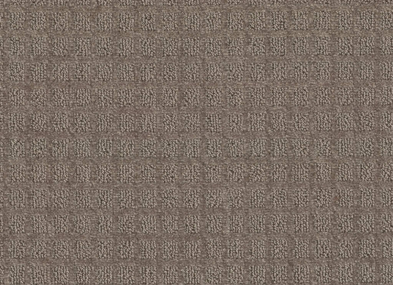 MAGNOLIA LANE in Sandalwood Carpet