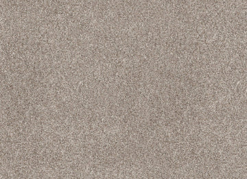 Daytona Sand