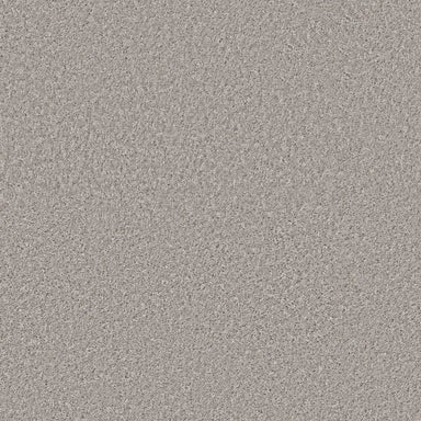 ARRENDALE SOLID in Sentimental Carpet