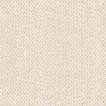 Crisp Linen