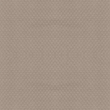 Studio Taupe