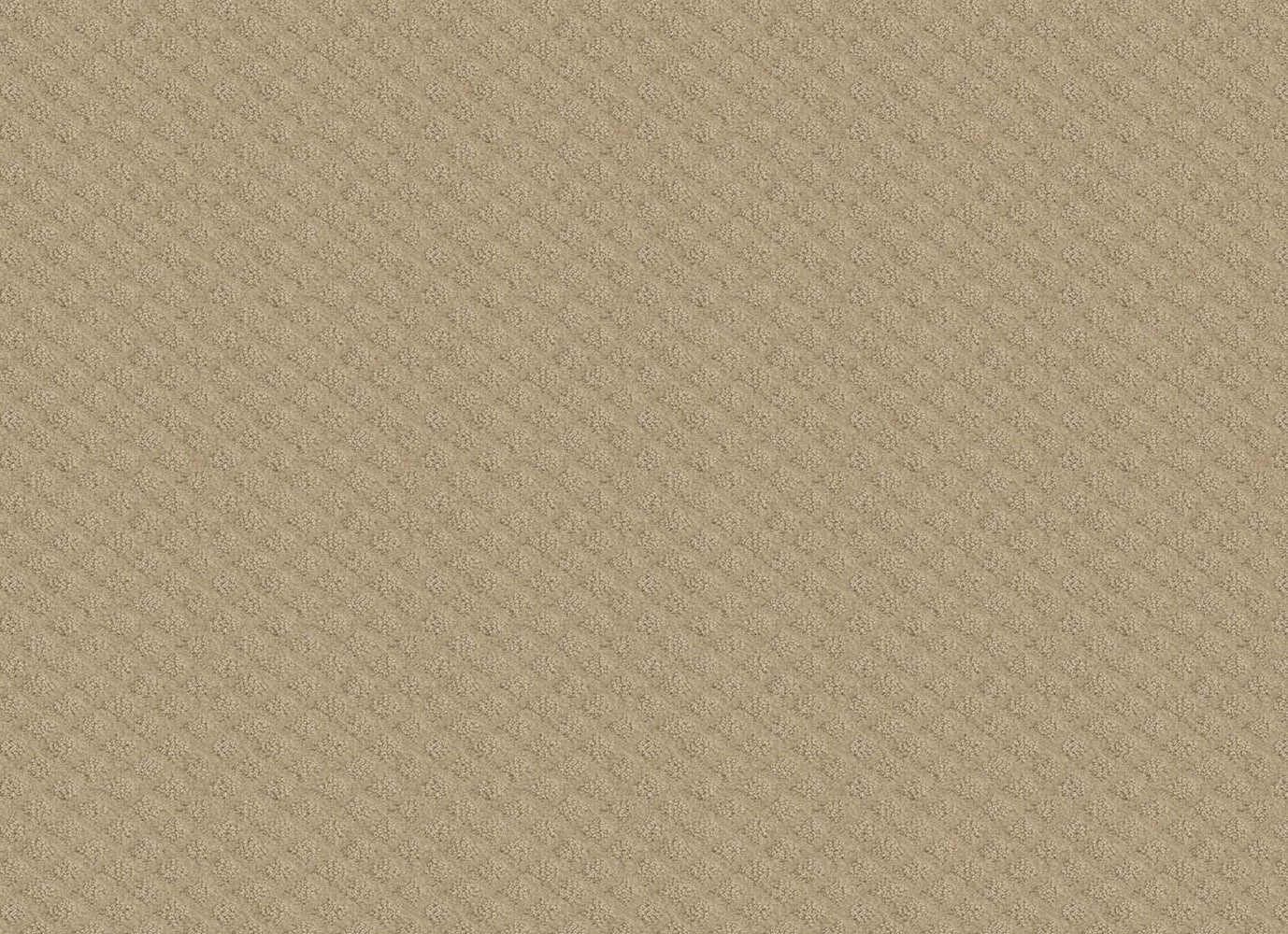 COLD SPRINGS in Soft Honey Carpet