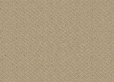 COLD SPRINGS in Soft Honey Carpet