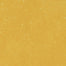 Portfolio - Vivid in Gen Z Yellow Tile