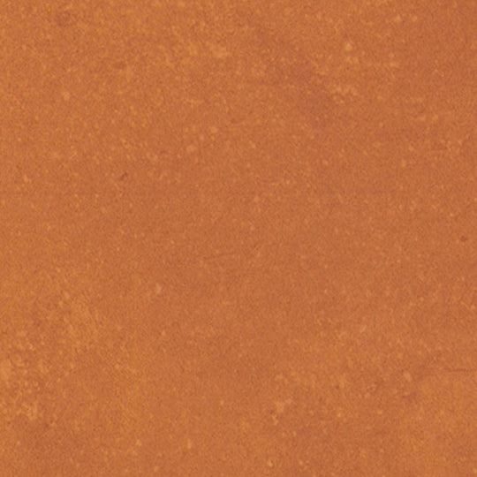 Portfolio - Vivid in Orange Burst