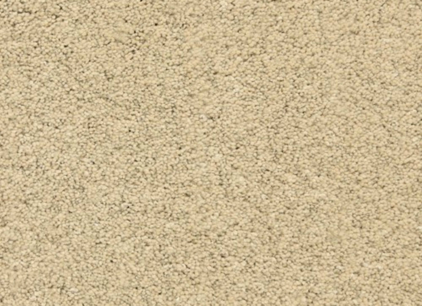 Pacific Grove in Sand City Carpet