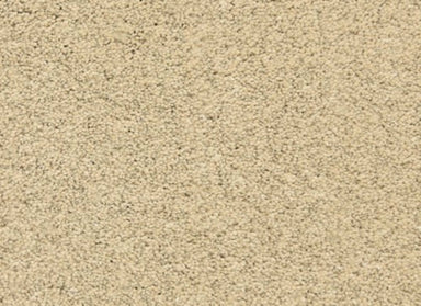 Pacific Grove in Sand City Carpet
