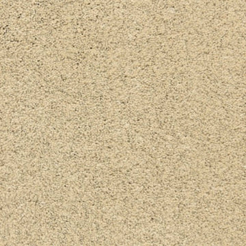 Sand City
