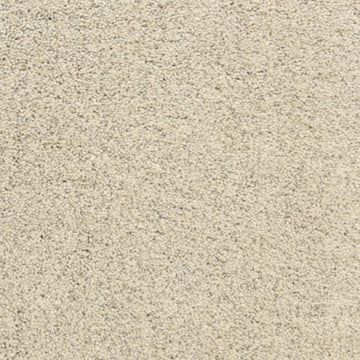 Sea Wall