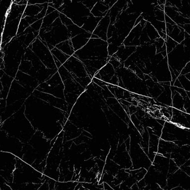 Pietra in Black 12x24 Tile