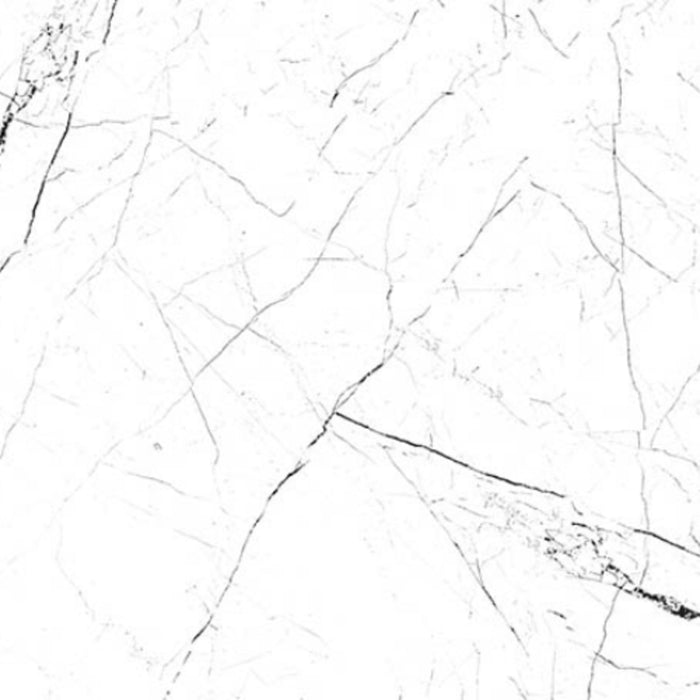 Pietra in White 12x24 Tile