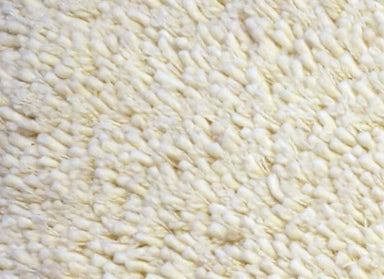 Pleasure in Natural Carpet