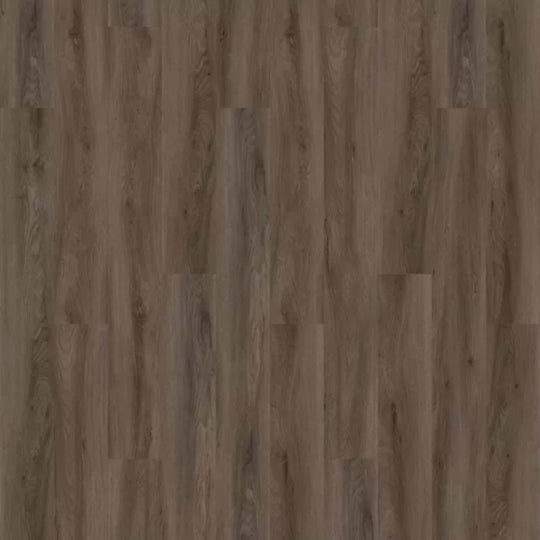 Pro Solutions III in Brindle