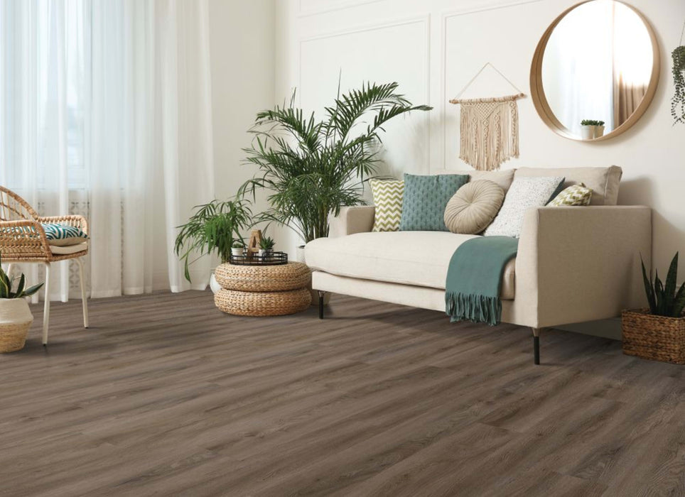 Pro Solutions III in Brindle