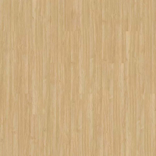Pro Solutions IV in Camel