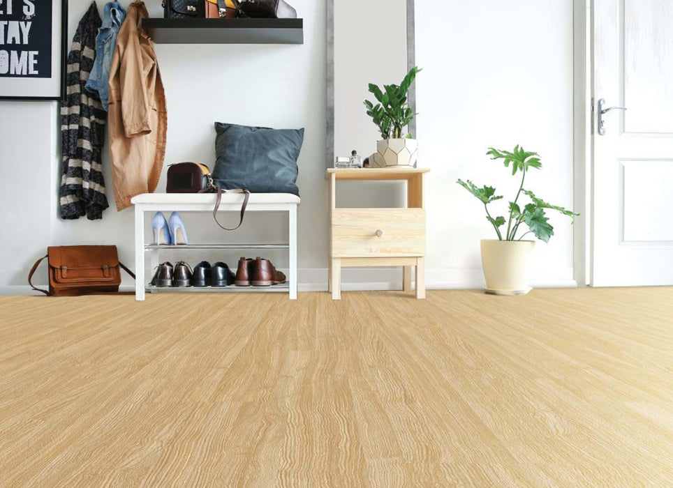 Pro Solutions II in Camel