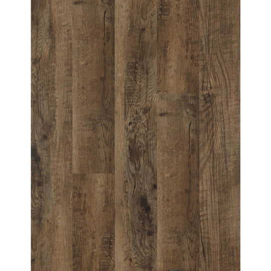 Pro Solutions II in Saddleback