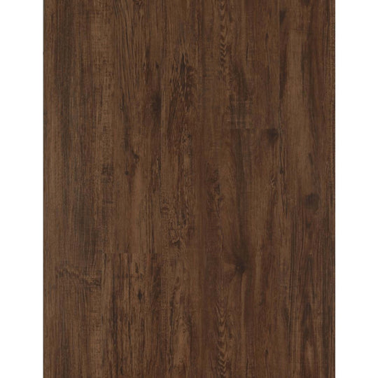 Pro Solutions II in Coffee Bean