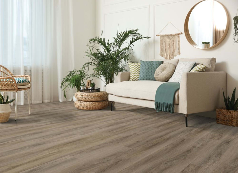 Pro Solutions II in Portobello