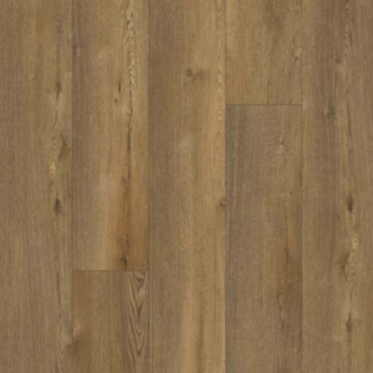 Wider Longer in Cinnamon