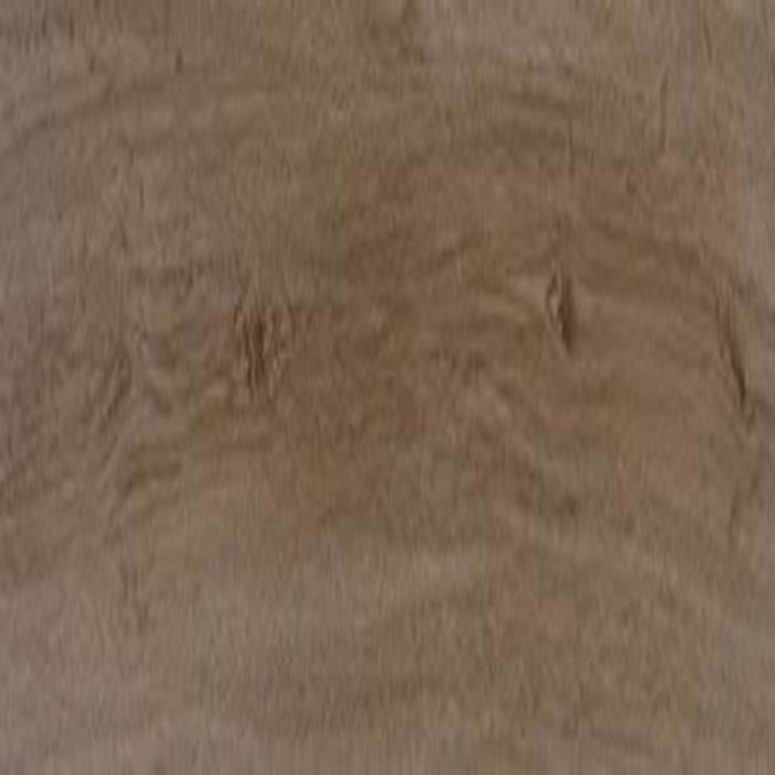 ProSeries - Pines Terrace - 8 mil in Cinnamon Luxury Vinyl