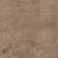ProSeries - Pines Terrace - 20 mil in Ginger Luxury Vinyl