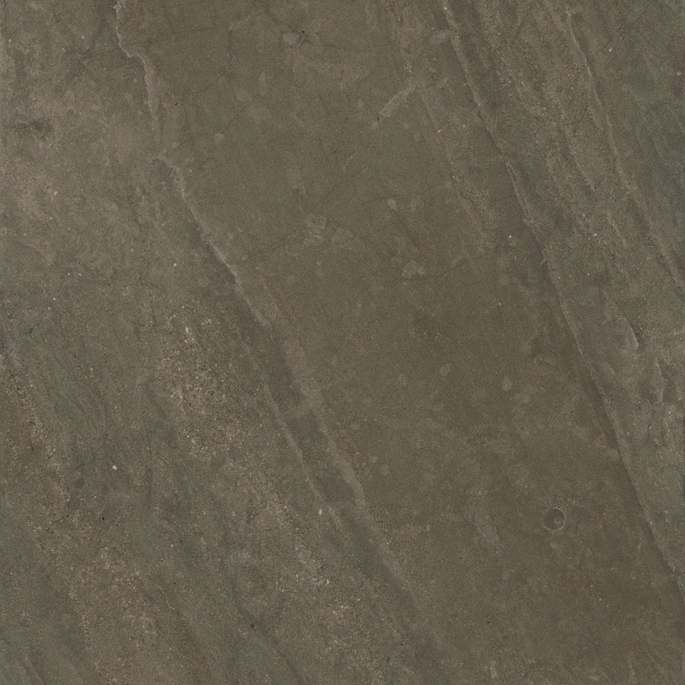 Portugal in Madeira Reserve 24"x48" Unpolished Tile