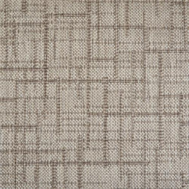 Peterson in Desert Carpet