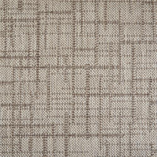 Peterson in Desert Carpet