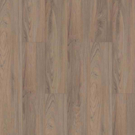 ALMARGO HD PLUS in Fiano