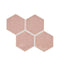 Playscapes in Peony Hexagon Tile