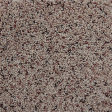 Desert Dune
