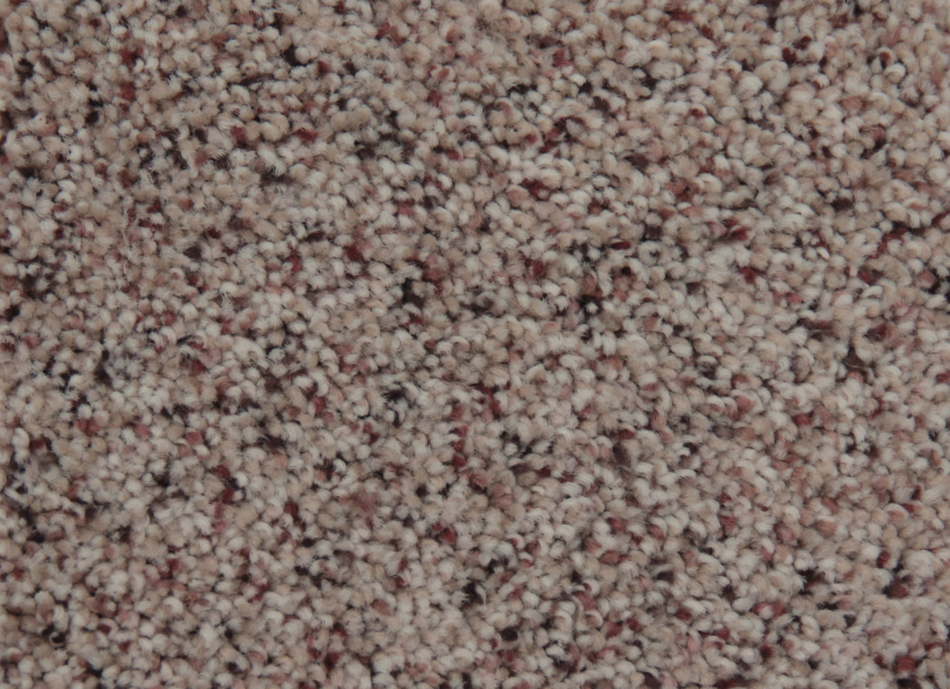 Pacific Grove in Desert Dune Carpet