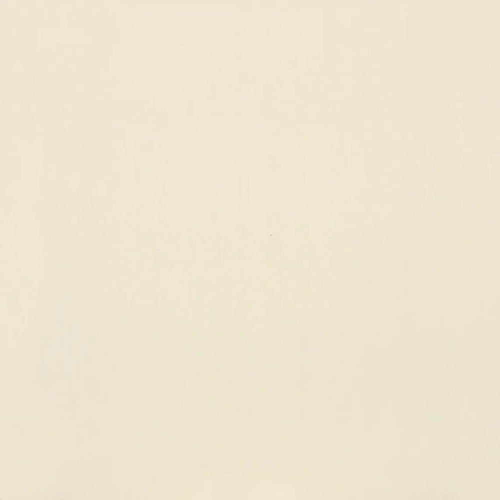 Clay Canvas in Paint-12x24-Polished Tile