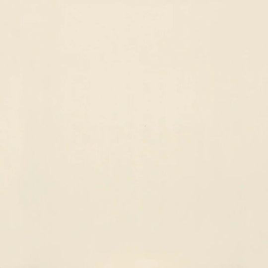 Clay Canvas in Paint-12x24-Polished