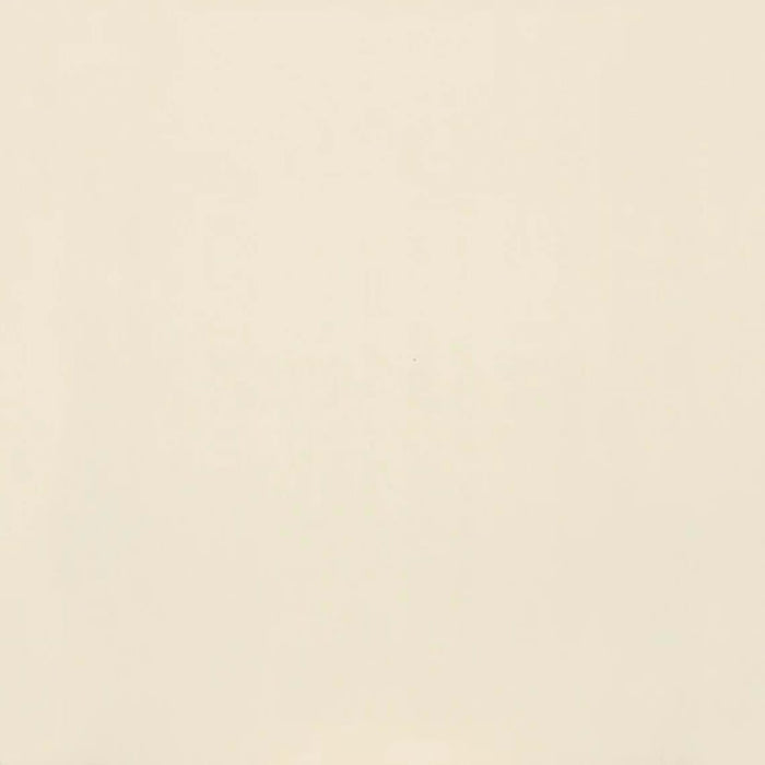 Clay Canvas in Paint-12x24-Polished Tile