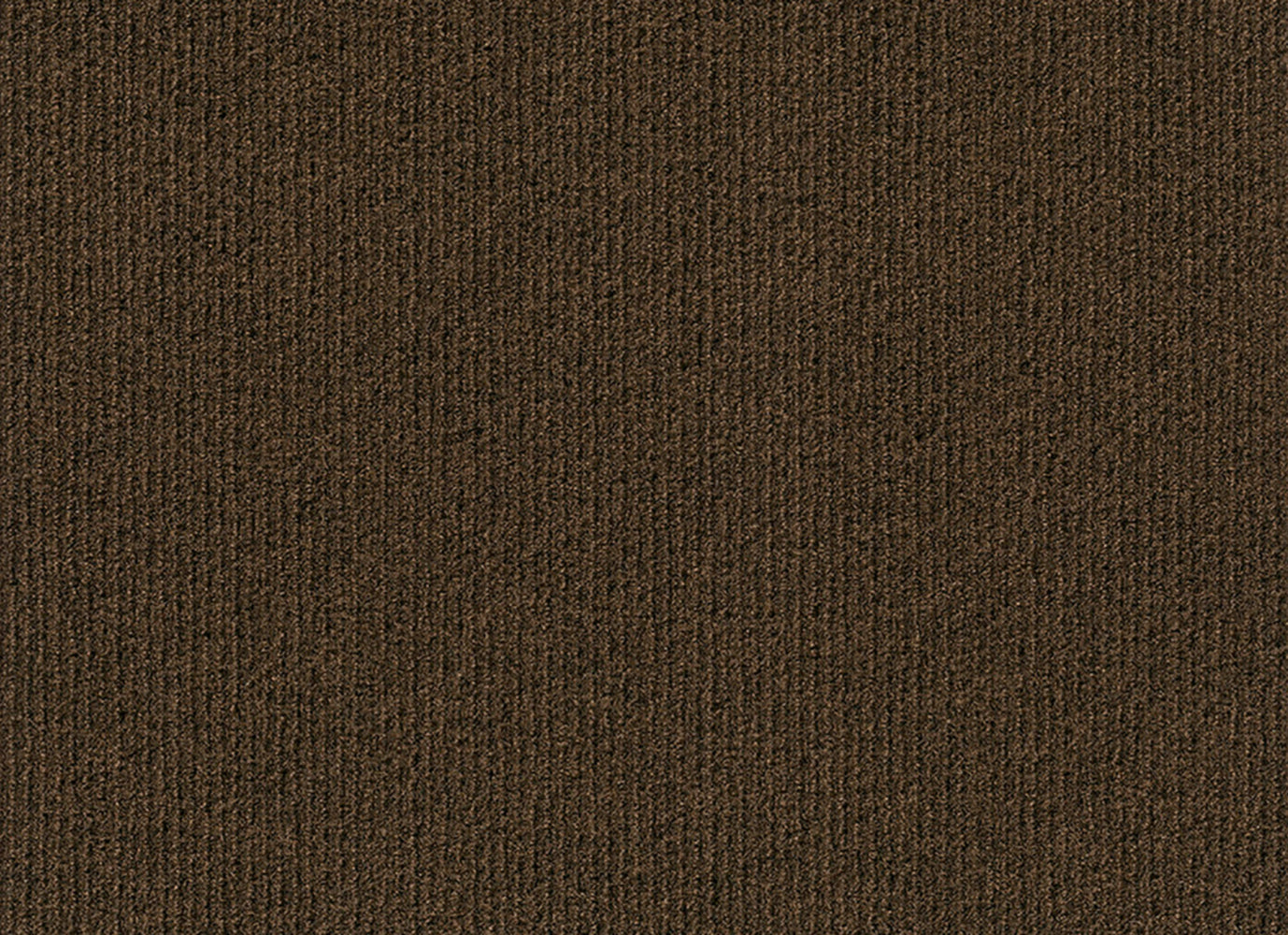 Palm Bay in Chocolate Carpet